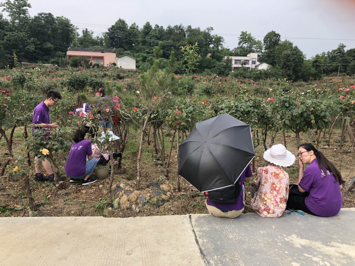 南開調研塔水鎮農戶.jpg 南開調研塔水鎮農戶.jpg