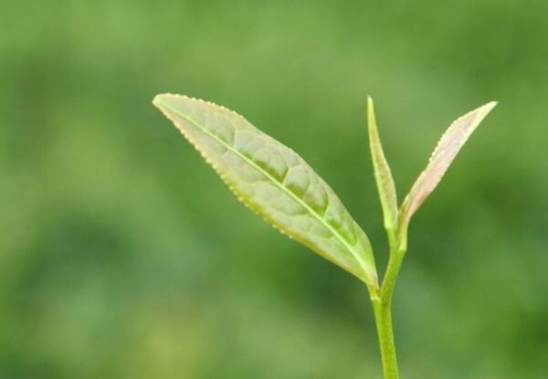 88BE1B29B063BCFC416CDDDA0136C4D6FFCBC13F_size472_w840_h582.png 88BE1B29B063BCFC416CDDDA0136C4D6FFCBC13F_size472_w840_h582.png